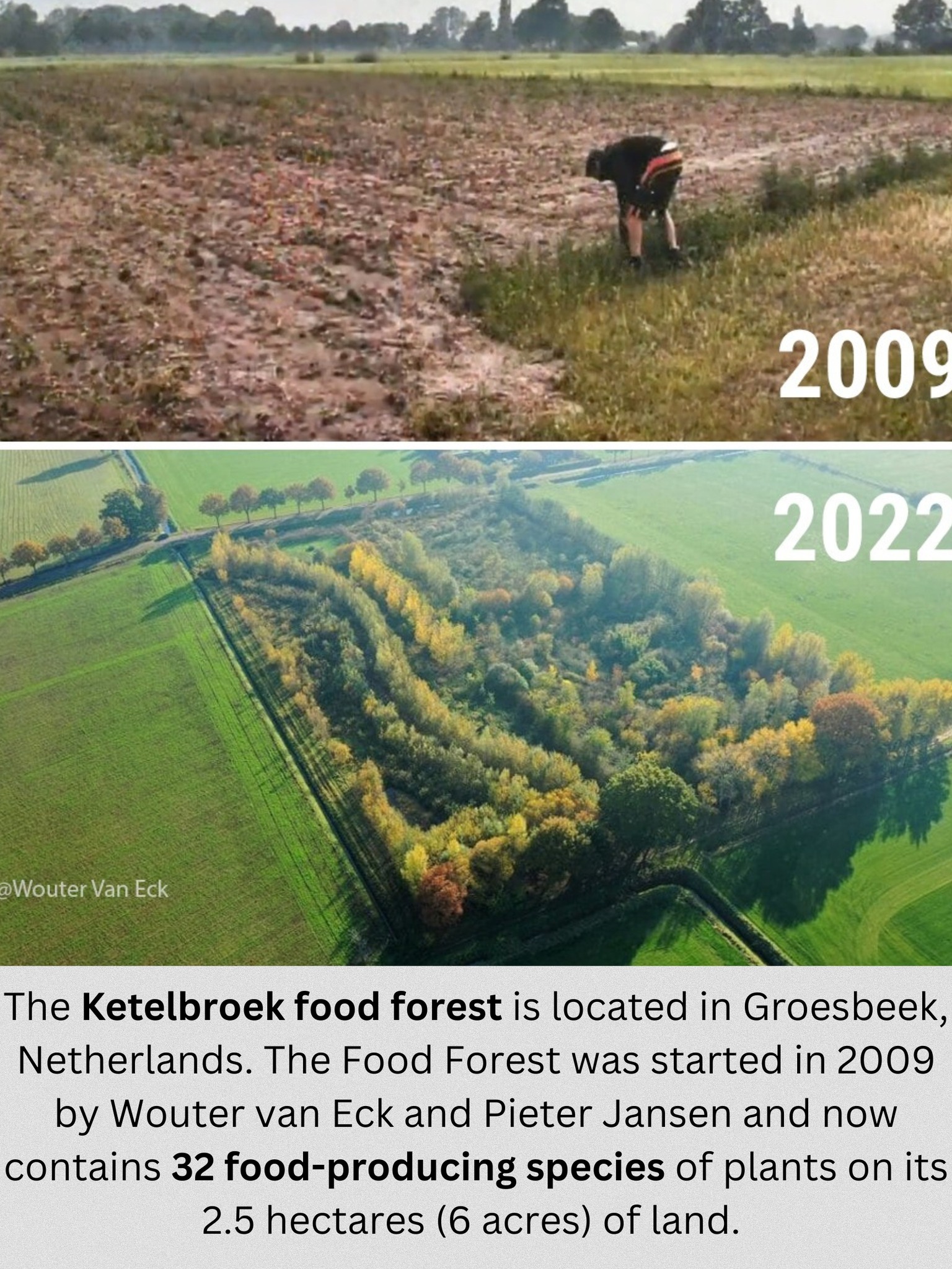 The meme shows a before-and-after comparison of a forest in the Netherlands. The top image shows a barren, dry field in 2009, while the bottom image shows a lush, green forest in 2022. The text at the bottom of the image reads: "The Ketelbroek food forest is located in Groesbeek, Netherlands. The food forest was started in 2009 by Wouter van Eck and Pieter Jansen and now contains 32 food-producing species of plants on its 2.5 hectares (6 acres) of land."